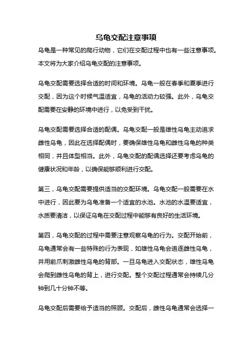 乌龟交配注意事项