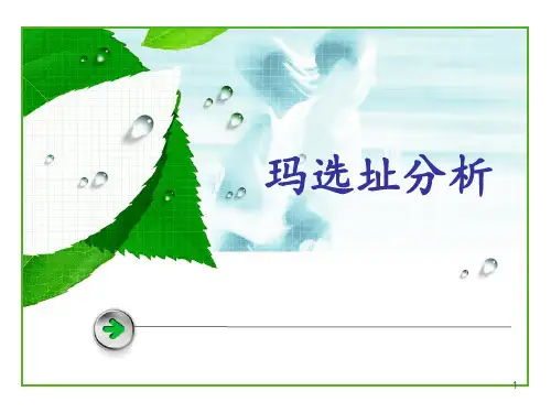 沃尔玛选址分析 ppt课件