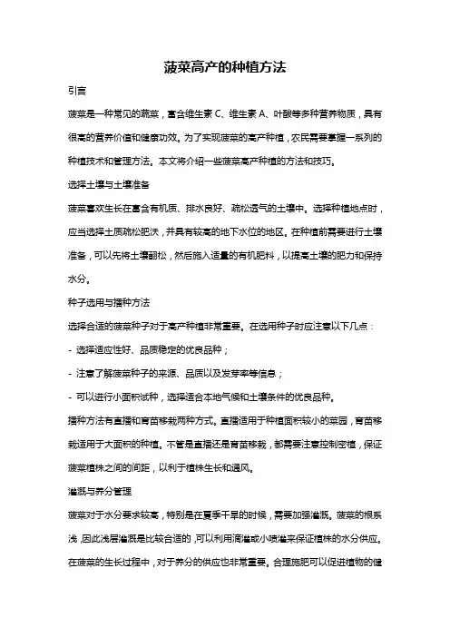 菠菜高产的种植方法