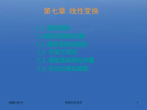 第七章线性变换.ppt
