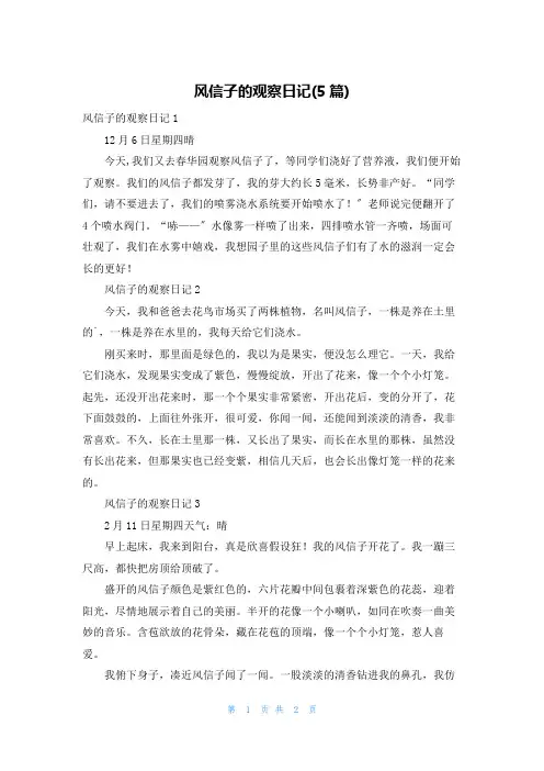 风信子的观察日记(5篇)