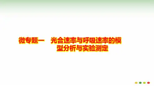 微专题1 光合速率与呼吸速率的模型分析与实验测定