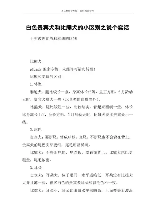 白色贵宾犬和比熊犬的小区别之说个实话
