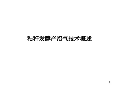 秸秆发酵产沼气技术概述和展望