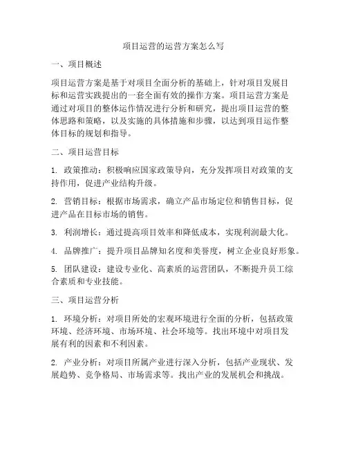 项目运营的运营方案怎么写