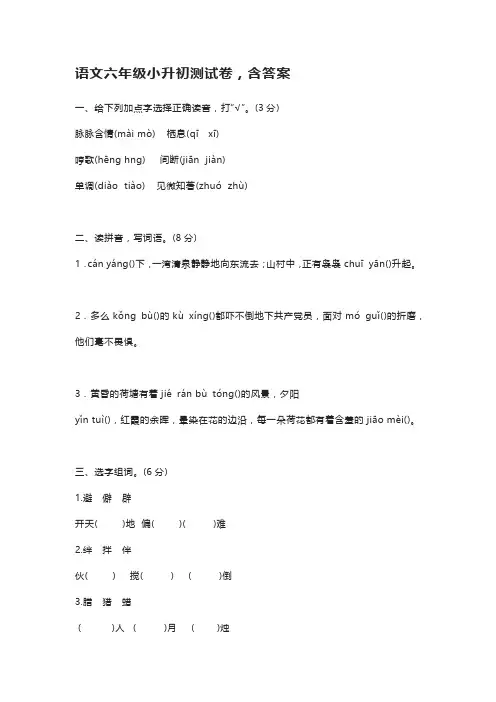 六年级小升初真题试卷语文