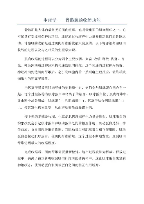生理学——骨骼肌的收缩功能