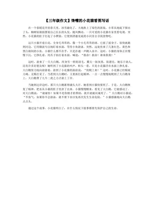 【三年级作文】馋嘴的小花猫看图写话