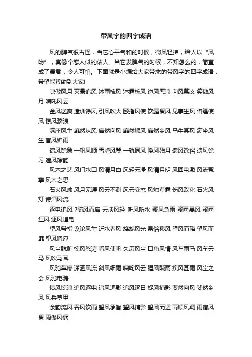 带风字的四字成语