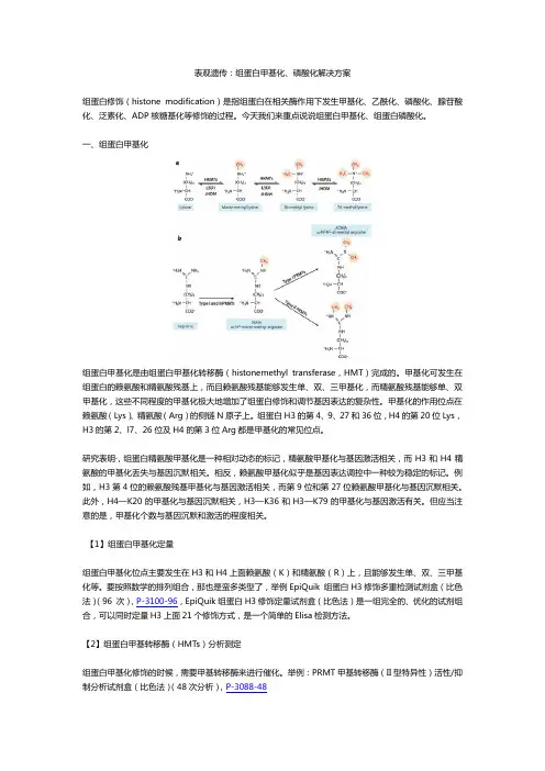 表观遗传：组蛋白甲基化、磷酸化解决方案