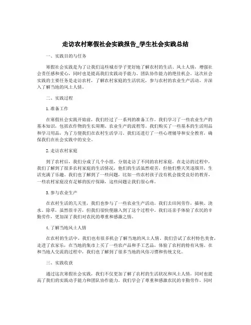 走访农村寒假社会实践报告_学生社会实践总结