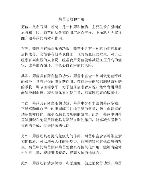 菊苣功效和作用