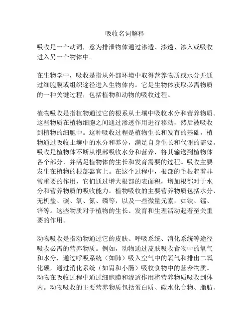 吸收名词解释
