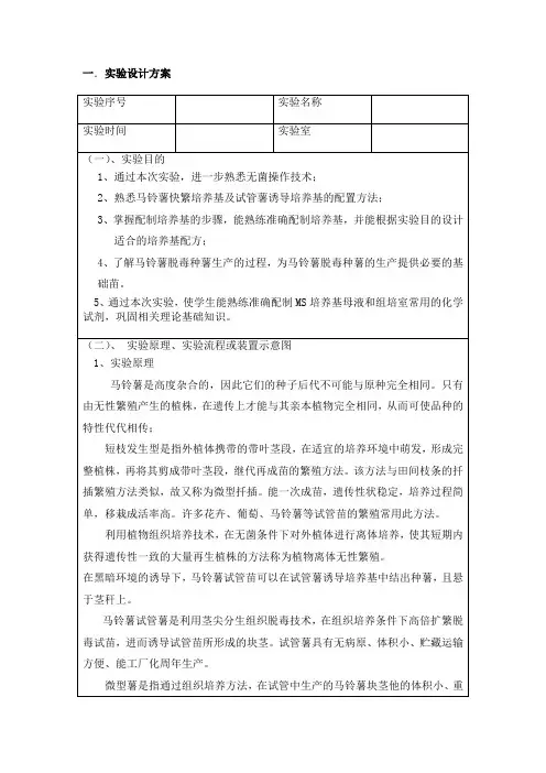 马铃薯快繁实验报告
