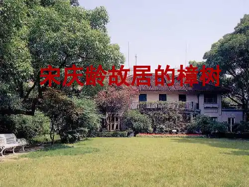 四下《宋庆龄故居的樟树》ppt课件语文课件PPT
