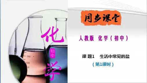 课题1  生活中常见的盐(第1课时)(课件)九年级化学下册(人教版)