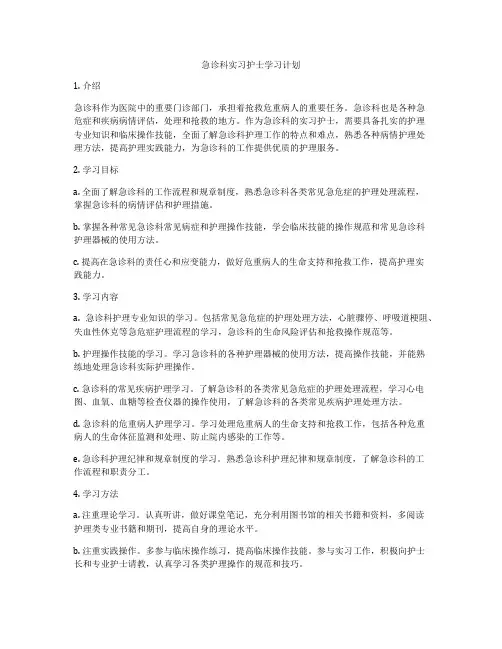 急诊科实习护士学习计划