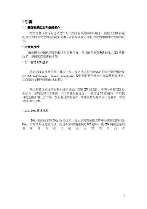 酶突变基因定向选择