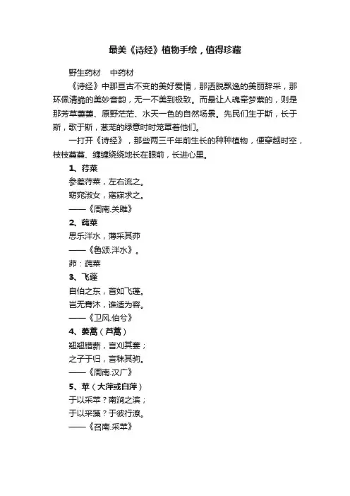 最美《诗经》植物手绘，值得珍藏
