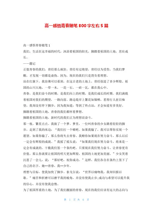 高一感悟青春随笔800字左右5篇123