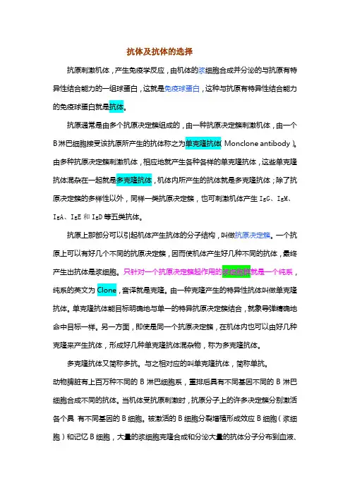 抗体及抗体的选择