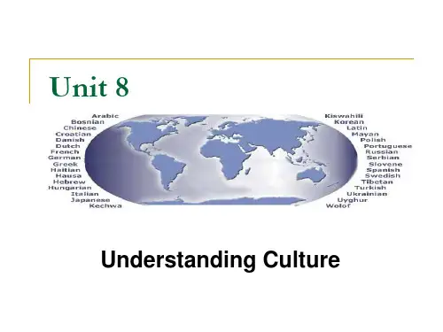 跨文化交际英文版8 Understanding Culture