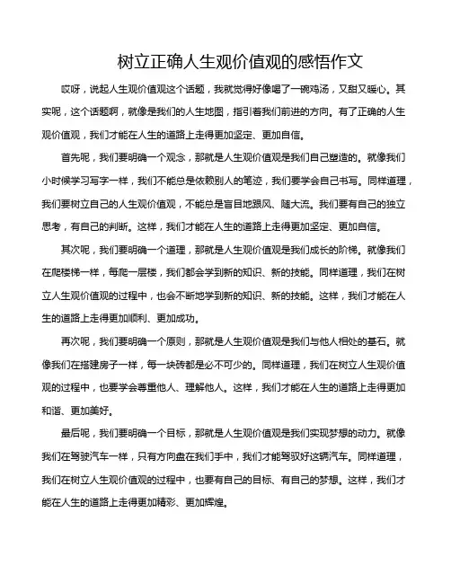 树立正确人生观价值观的感悟作文
