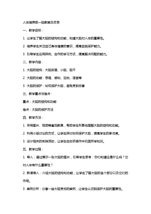 人体指挥部—脑教案及反思