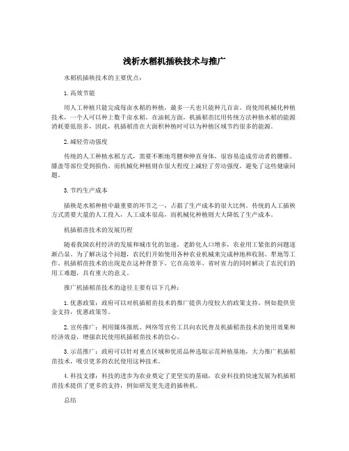 浅析水稻机插秧技术与推广