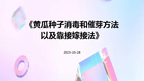黄瓜种子消毒和催芽方法以及靠接嫁接法