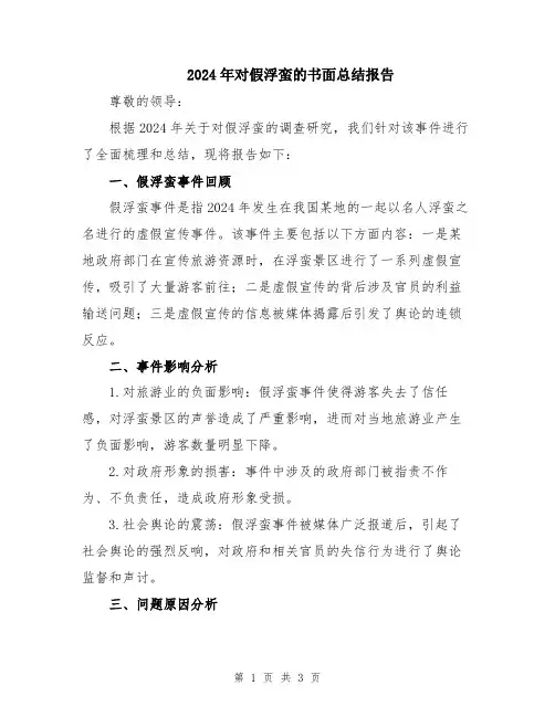 2024年对假浮蛮的书面总结报告