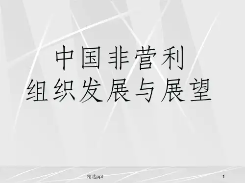 中国非营利组织发展与展望