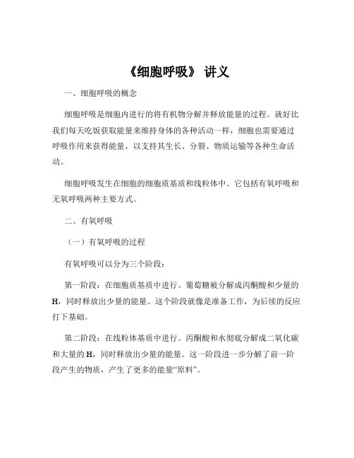 《细胞呼吸》 讲义