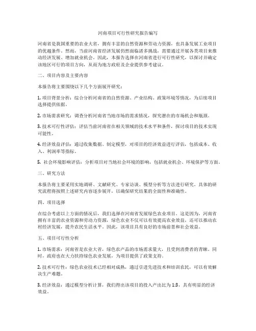 河南项目可行性研究报告编写