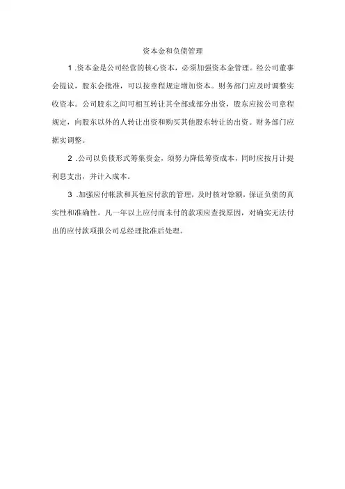 【精选】资本金和负债管理