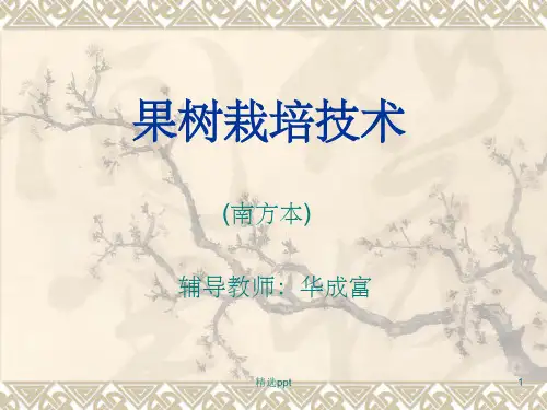 《果树栽培技术》PPT课件