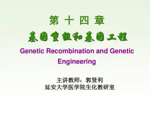 第十五章基因重组与基因工程