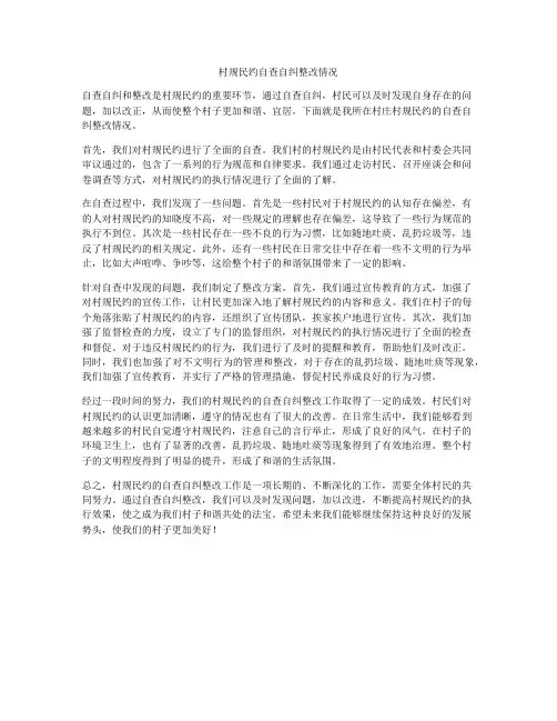 村规民约自查自纠整改情况