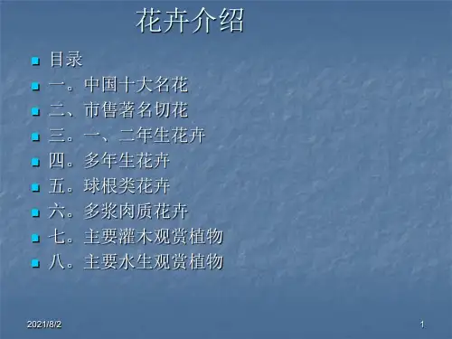 02中国十大名花
