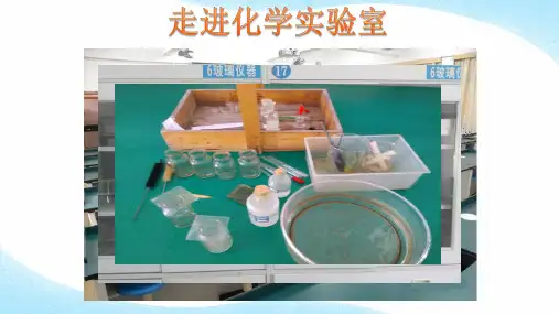 人教版《走进化学实验室》优质课件1