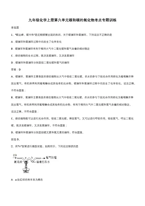 九年级化学上册第六单元碳和碳的氧化物考点专题训练(带答案)