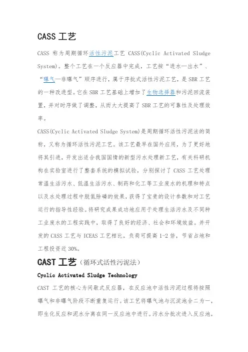 CASS工艺简介