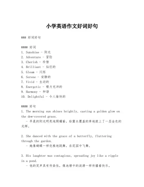 小学英语作文好词好句
