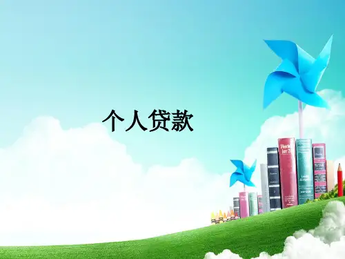 个人贷款概述(PPT94页).pptx