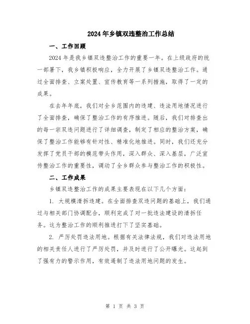 2024年乡镇双违整治工作总结