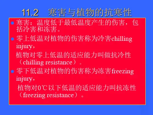 寒害与植物的抗寒性