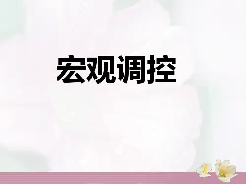 宏观调控 ppt