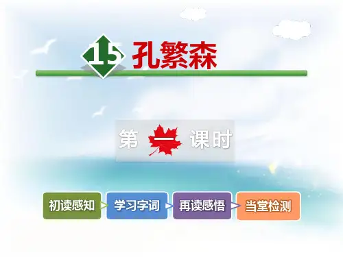 《孔繁森》 完美课件