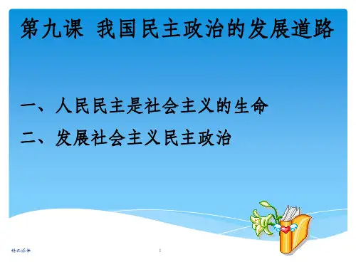 经济政治与社会我国民主政治的发展道路