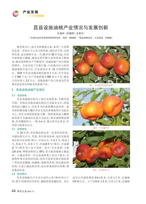 莒县设施油桃产业情况与发展创新